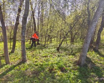 Lielajā talkā ar projekta „GreenPalette” darba rīkiem 