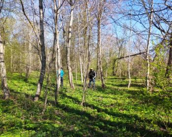 Lielajā talkā ar projekta „GreenPalette” darba rīkiem 